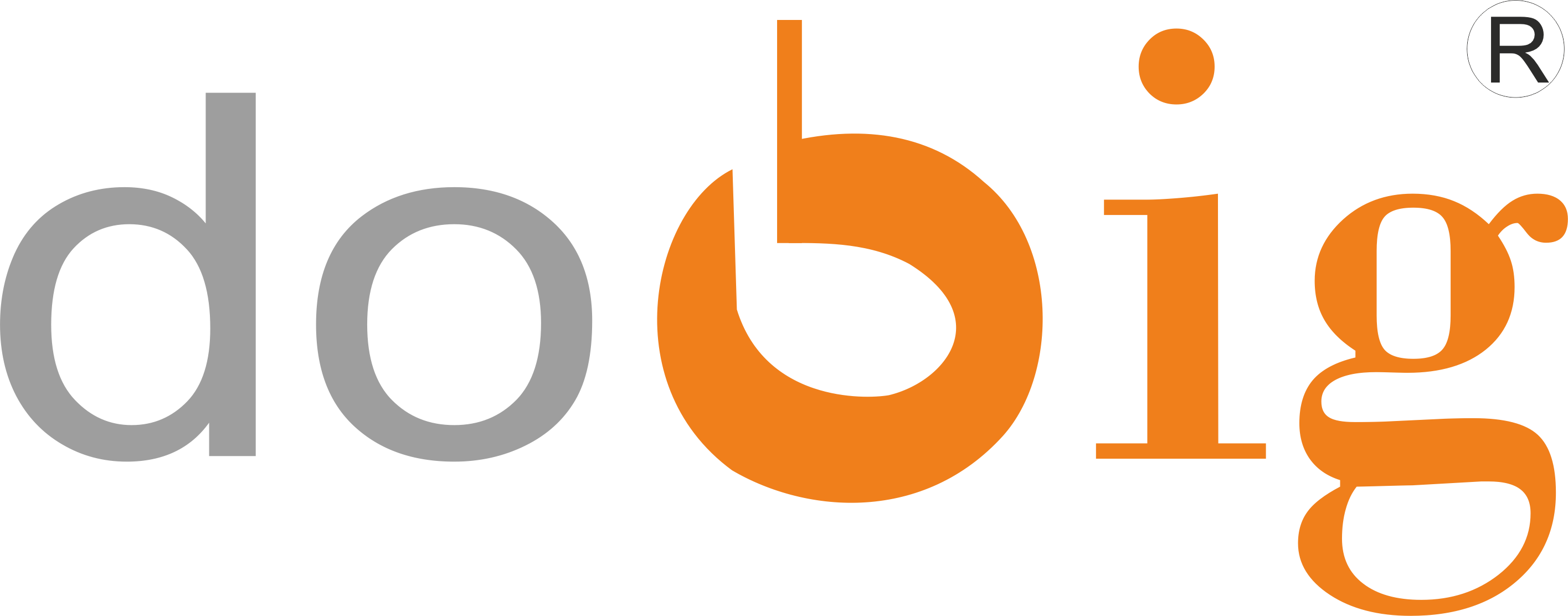 DOBIG Logo